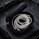 Case Protect para Fones IEM